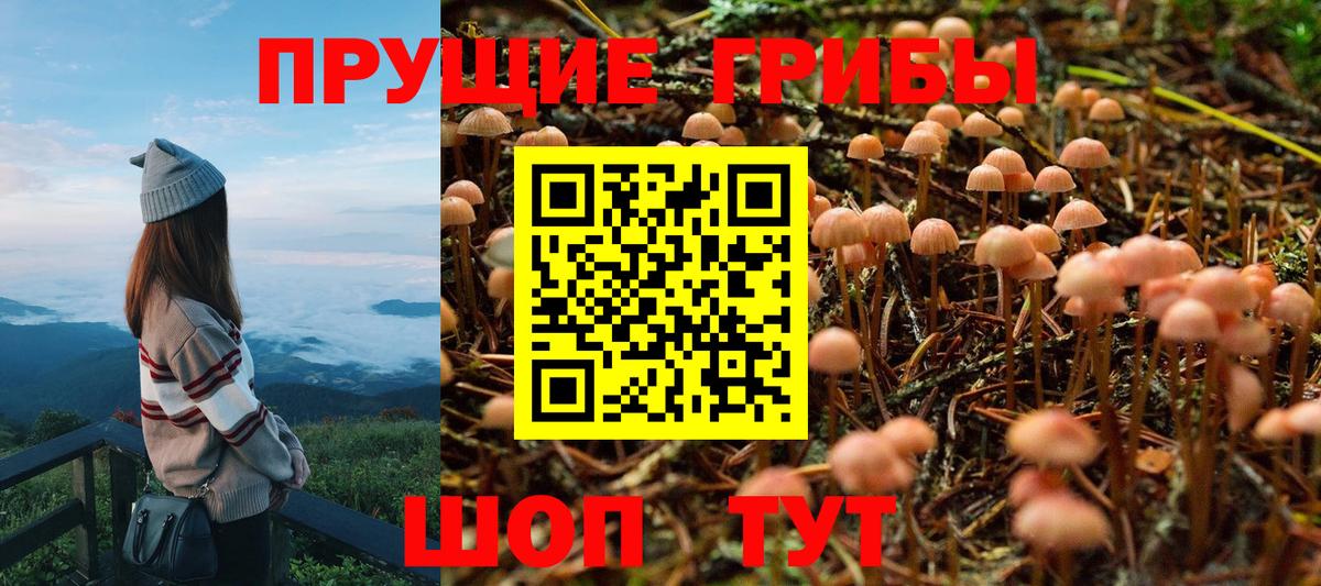 Жигулёвск  Галлюциногенные грибы GOLDEN TEACHER  Вход с VPN 